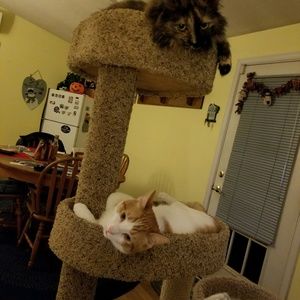 Meet your Posher, Sally